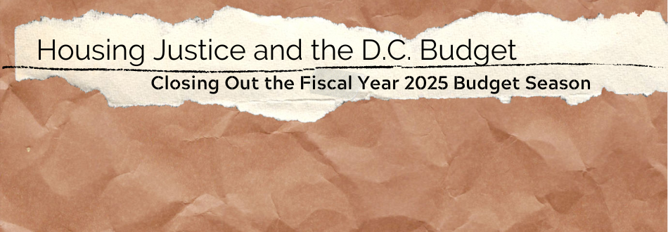 The FY25 Budget: Disappointments and Disinvestments