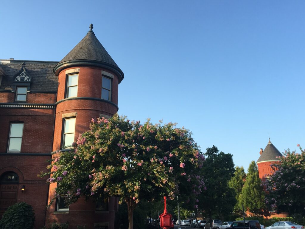 Pink Crepe Myrtle growing in front of a brick house.