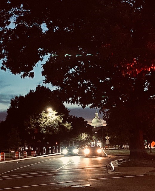 Trees and cars line the street with the Capital building in the background.